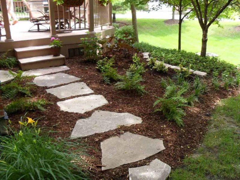 Pathways And Bare Soil