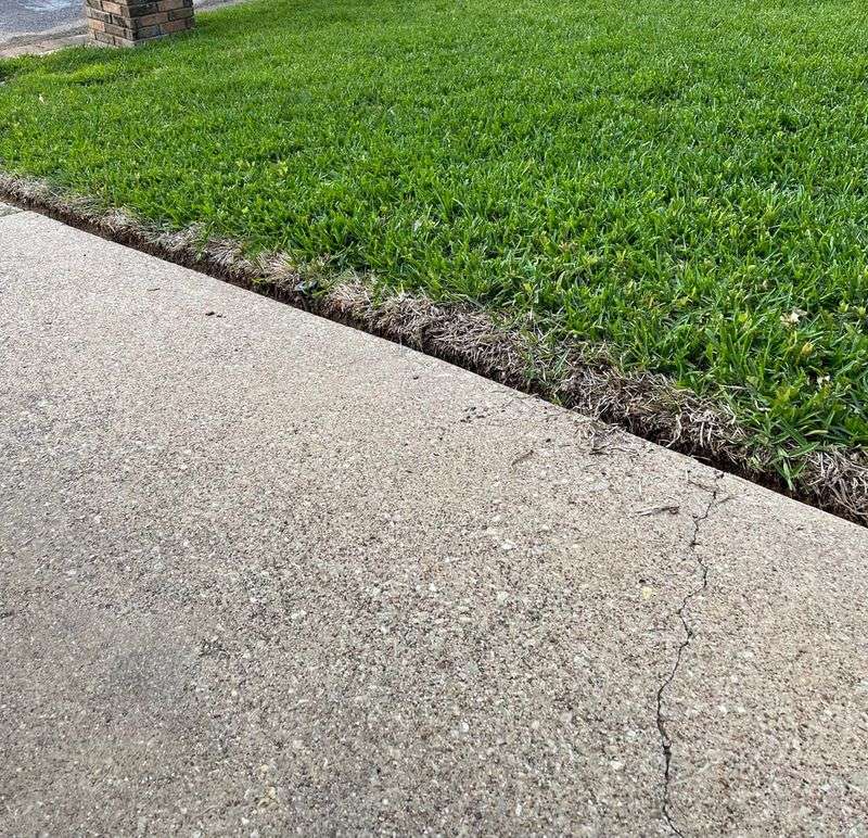 Pavement Edges Heat Up First Pavement Edges Heat Up First