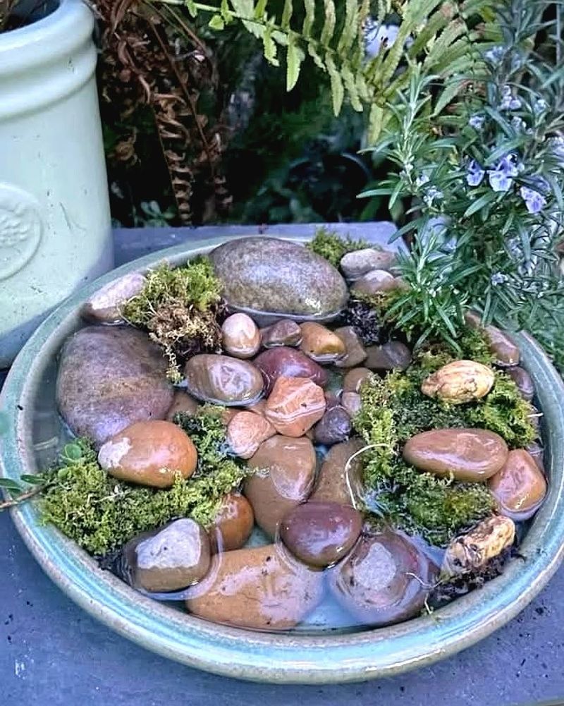 Pebble Filled Pollinator Water Dish