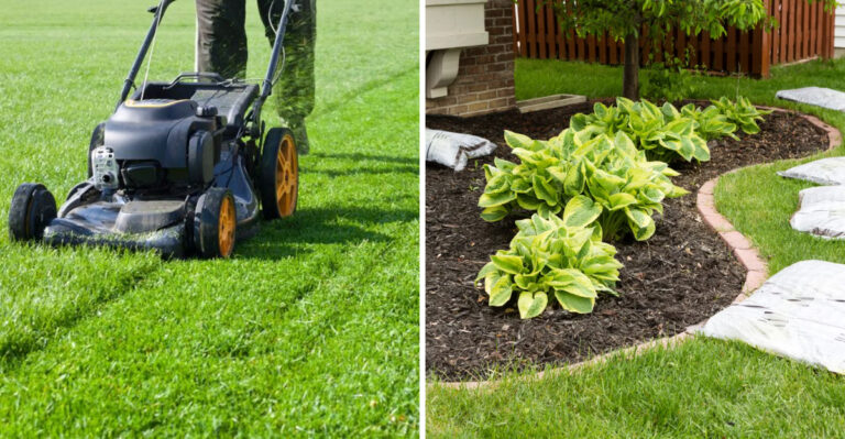 Pennsylvania Gardeners Who Make These Yard Changes Report Seeing Far Fewer Ticks