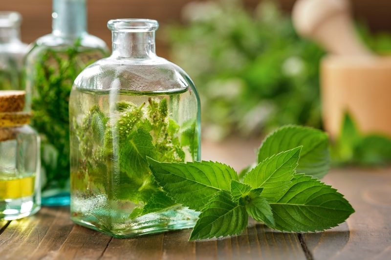 Peppermint Oil (Mentha Piperita)