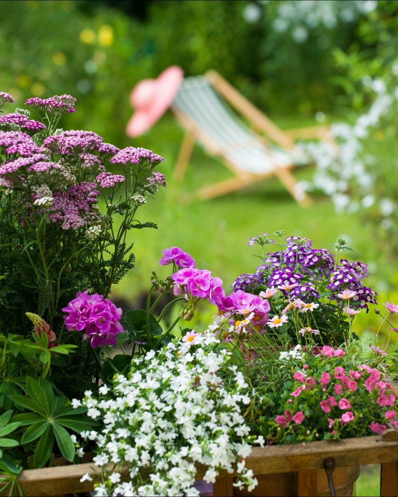 Perennials Return For More Seasons