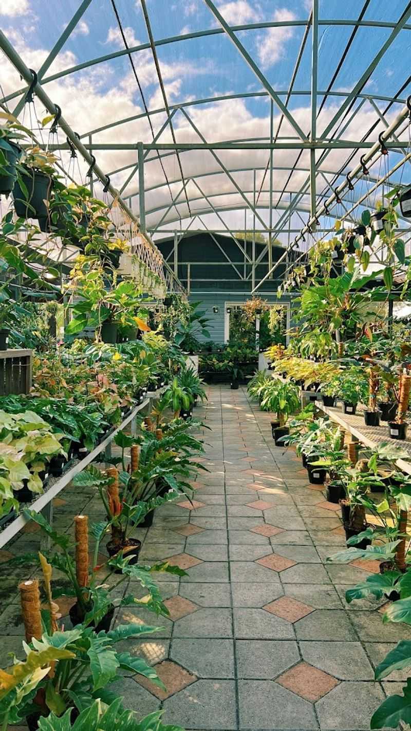 Perfect Choice Nursery Brings Rare Aroids Into A Retail Setting