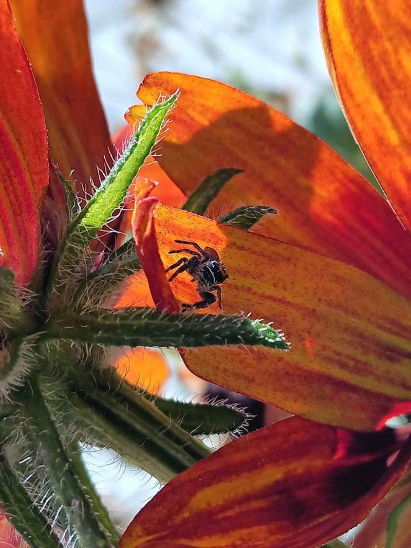 Pesticide-Free Gardens Give Them A Better Chance Pesticide-Free Gardens Give Them A Better Chance