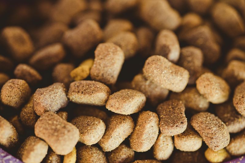 Pet Food Gone By Morning