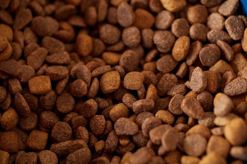 Pet Food Is Left Outside Overnight