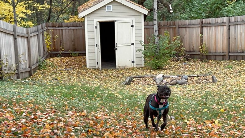 Pet Resting Areas Pet Resting Areas