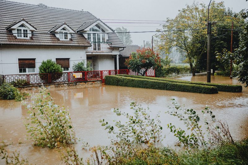 Photograph All Affected Areas For Insurance