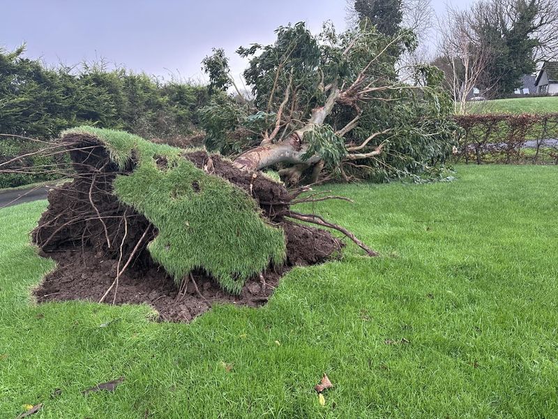 Photos Before And After The Storm Can Help The Claim
