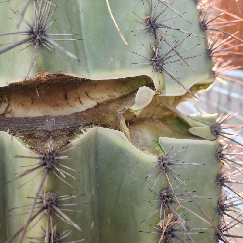 Physical Damage Can Affect Stability