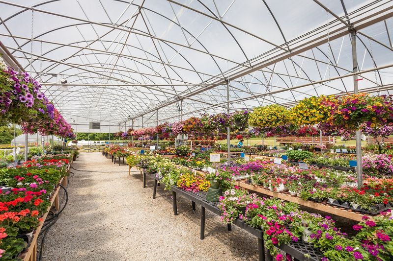 Pick Blooms And Berries When Tickets Open Pick Blooms And Berries When Tickets Open