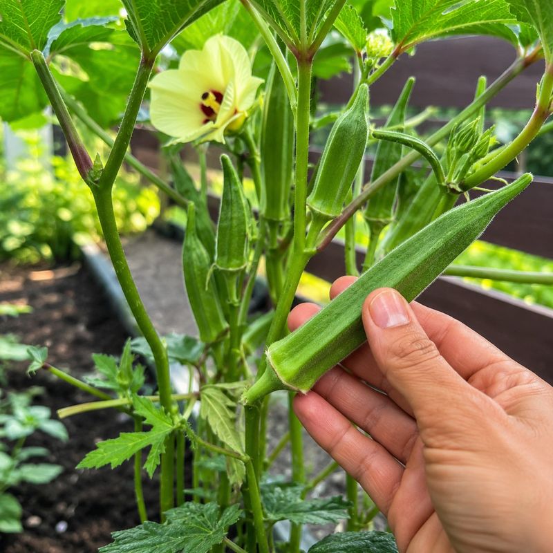 Pick Pods Before They Get Too Large