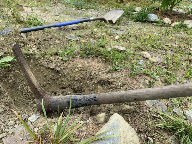 Pick Up Tools Before They Disappear In The Grass Pick Up Tools Before They Disappear In The Grass