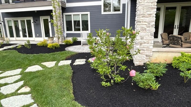 Piling Mulch Too Thick Creates Damp Cover Ticks Can Use Piling Mulch Too Thick Creates Damp Cover Ticks Can Use