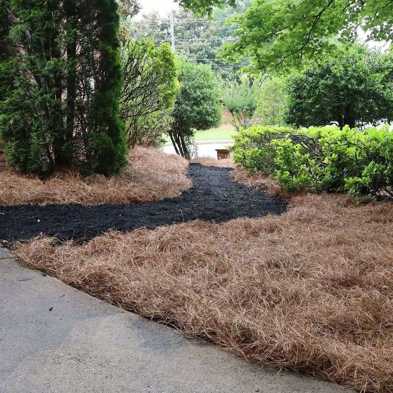 Pine Straw Blocks Some Weeds, But Not As Strongly As Wood Mulch