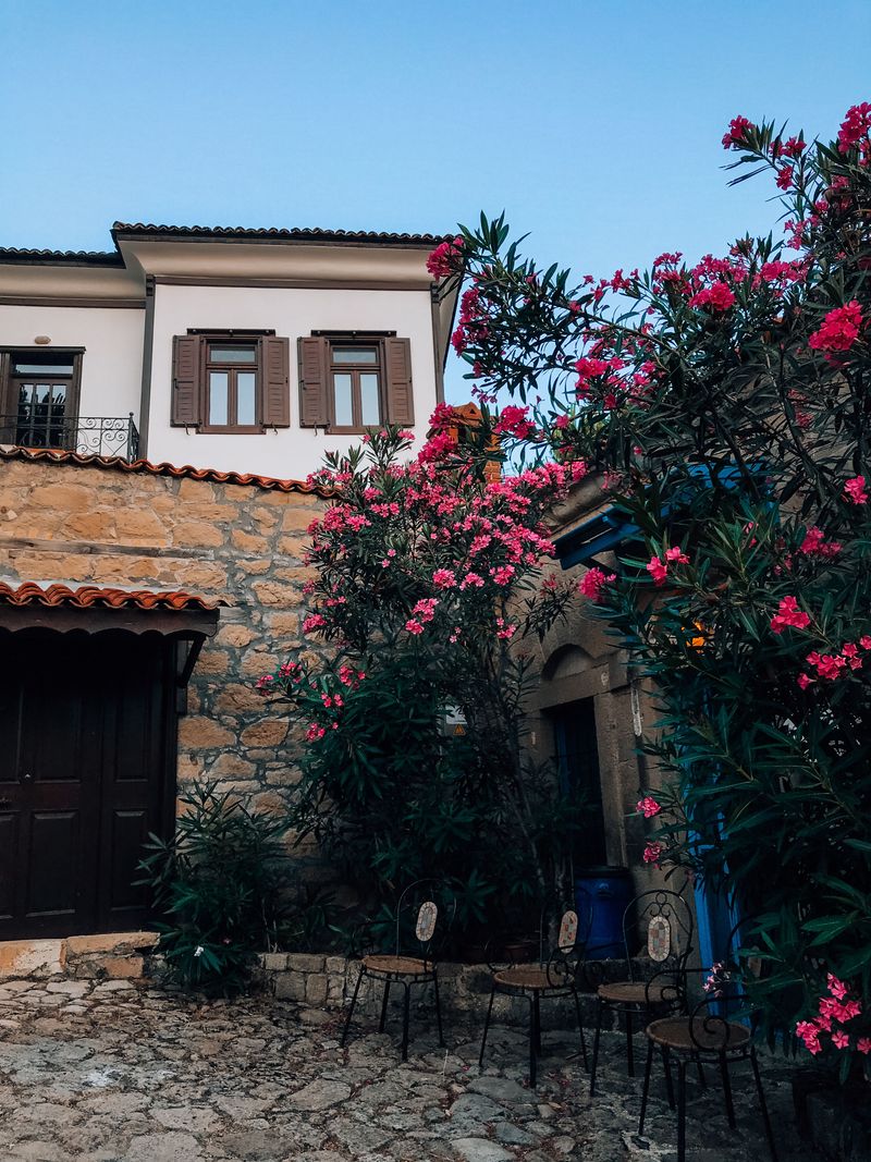 Pink Flowers Can Hide A Serious Landscape Problem