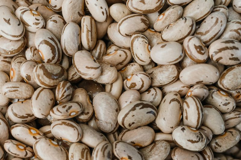 Pinto Beans Pinto Beans
