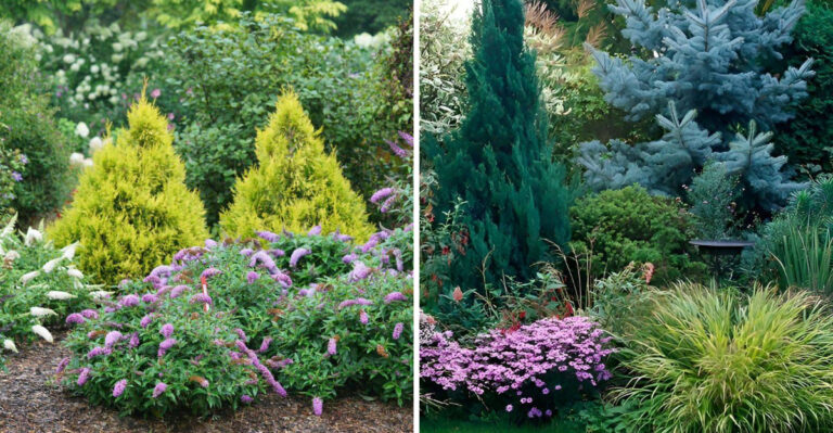 Place Shrubs This Way To Make Oregon Yards Feel More Spacious