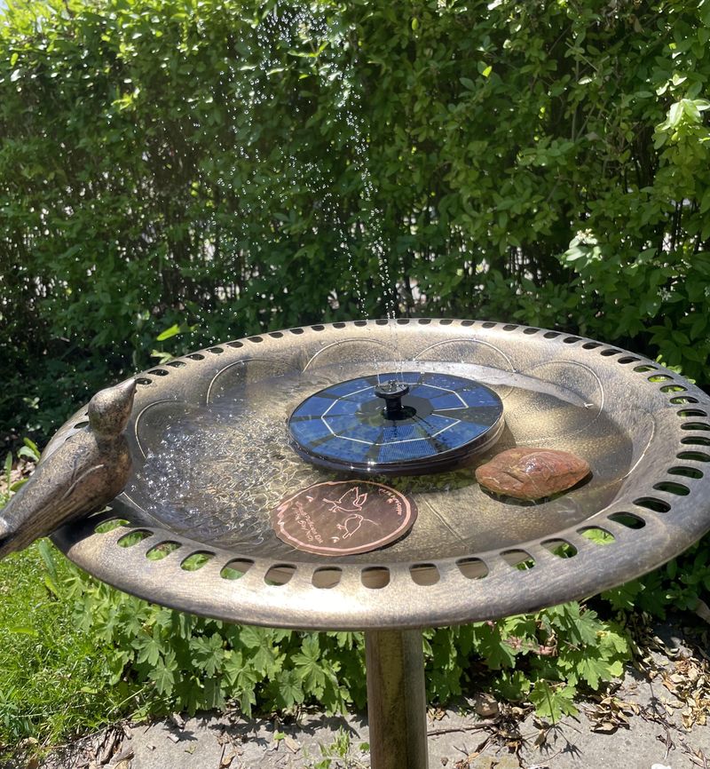 Place Water In Safe Shade Place Water In Safe Shade