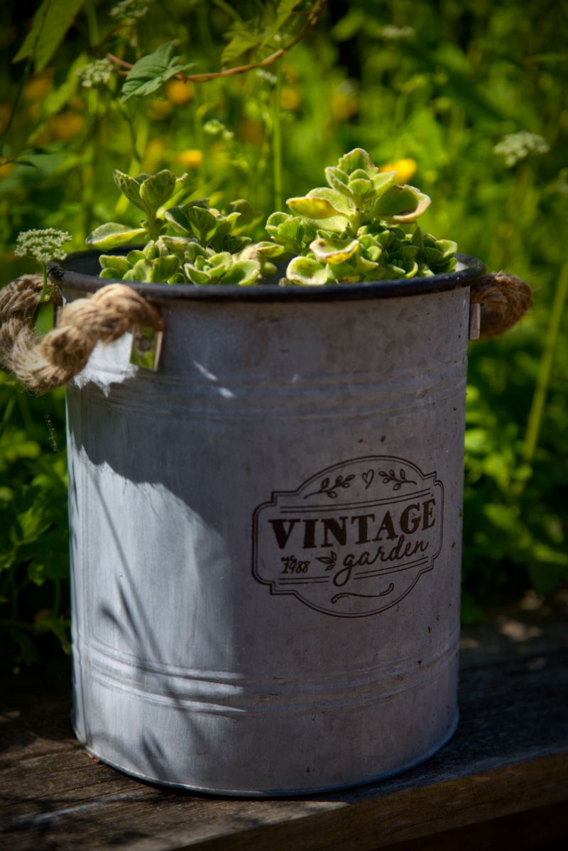Placing Containers In Too Much Direct Afternoon Sun