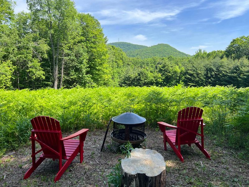Placing Patio Furniture Near Wooded Edges