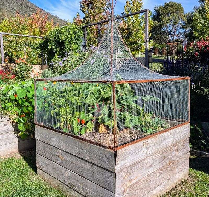 Plan Shade Or Temporary Protection Plan Shade Or Temporary Protection