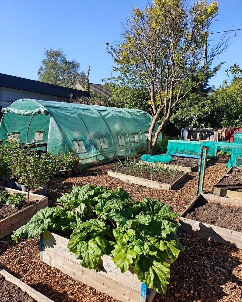 Plant In Morning Sun To Give Young Crops A Fighting Start