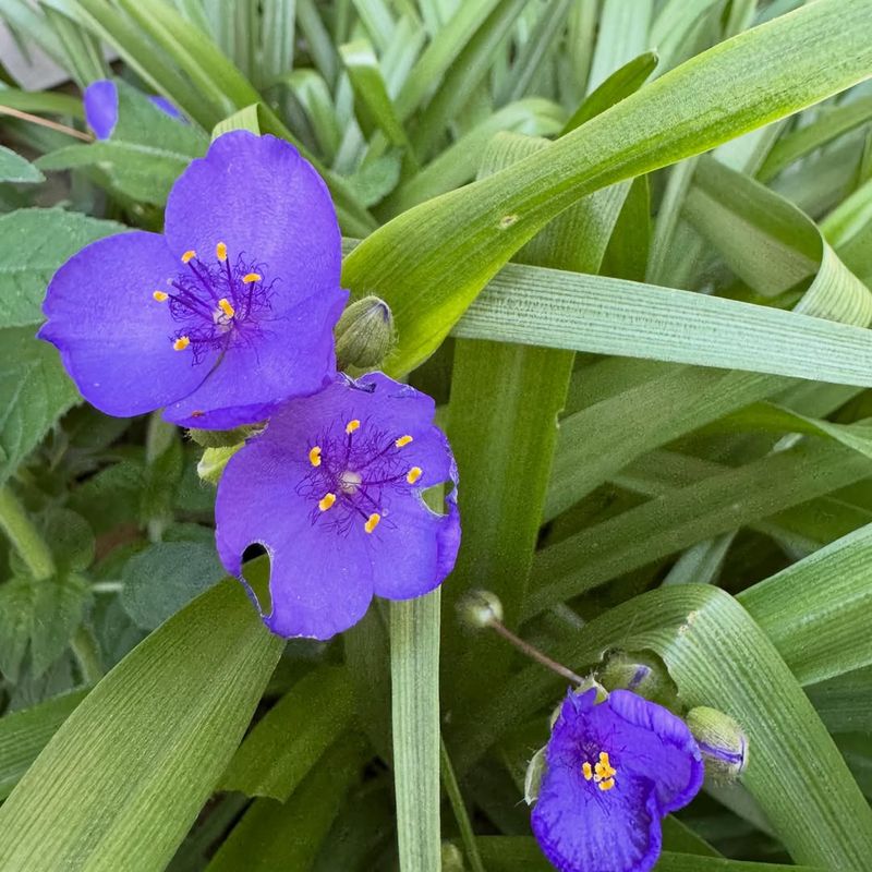 Plant In Soil That Holds Moisture Well Plant In Soil That Holds Moisture Well