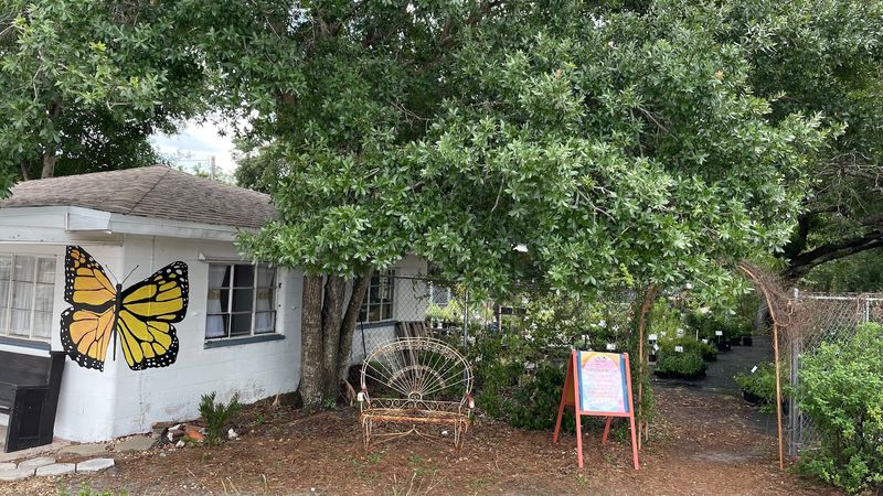 Plant Local Florida Makes Lakeland A Must-Stop For Native Plant Fans
