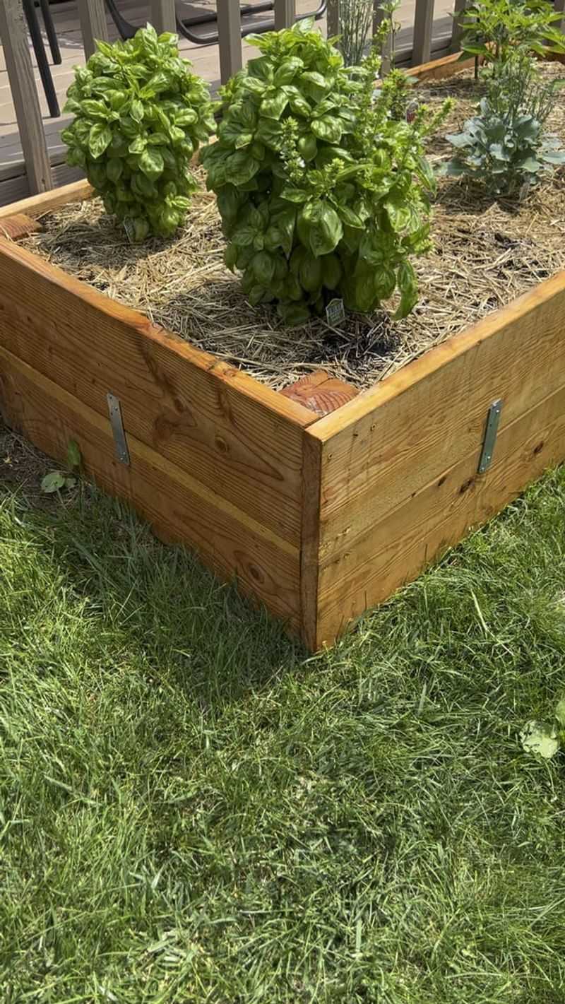 Plant Roots Need More Room Than Most Gardeners Realize Plant Roots Need More Room Than Most Gardeners Realize