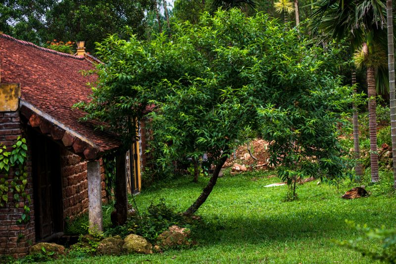 Plant Trees And Shrubs Of Varying Heights Plant Trees And Shrubs Of Varying Heights