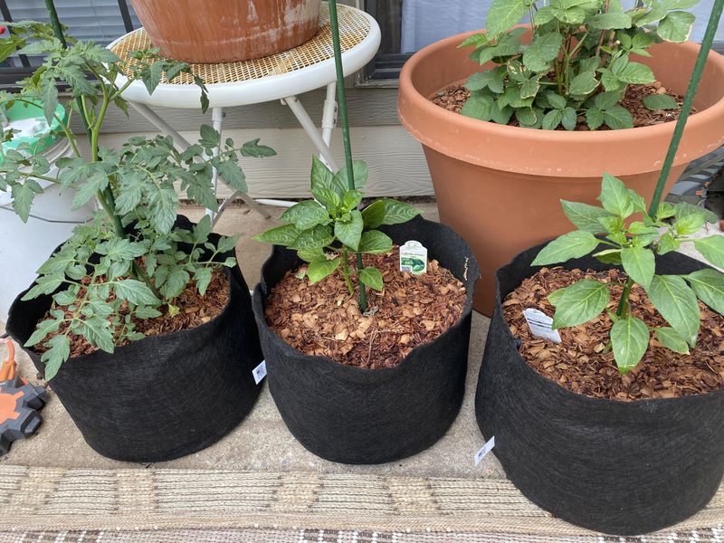 Plant Warm-Season Crops Before The Window Gets Too Tight