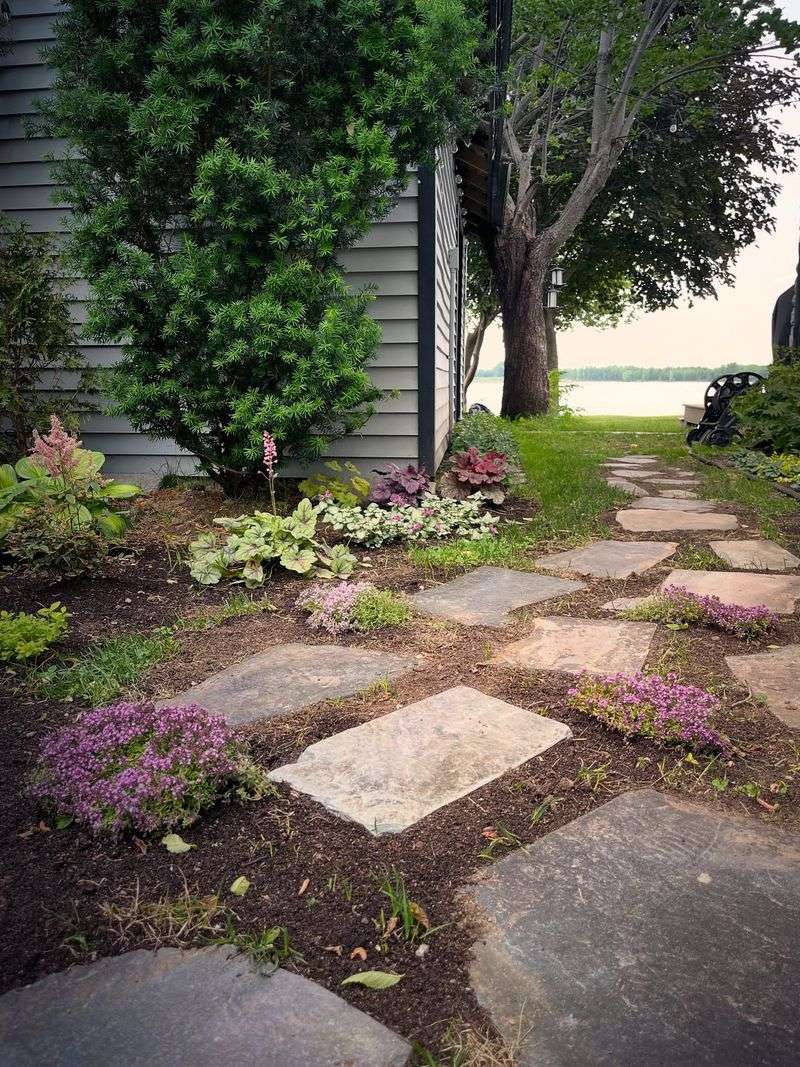 Planting Dense Ground Covers Right Against The House Adds Hiding Places Planting Dense Ground Covers Right Against The House Adds Hiding Places