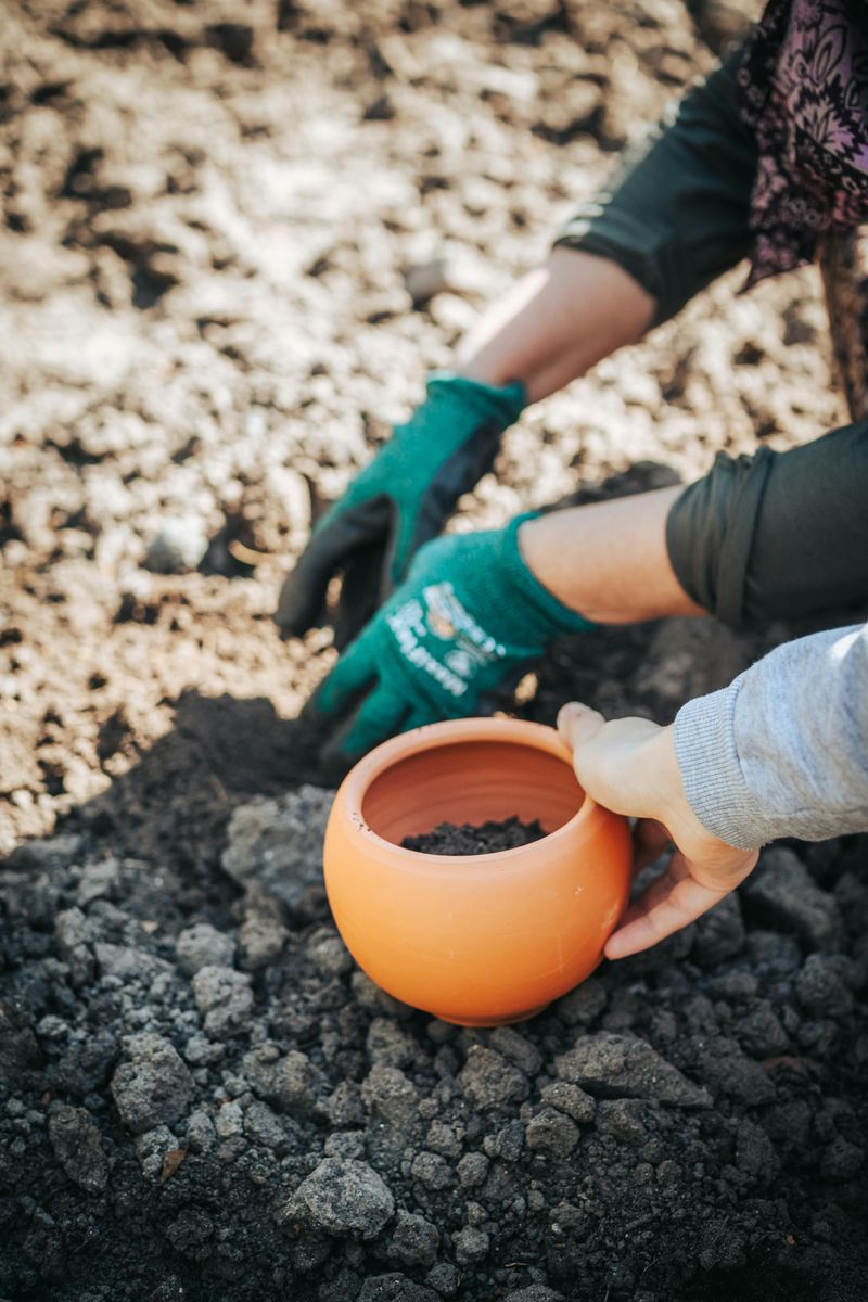 Planting In Unamended Clay Soil