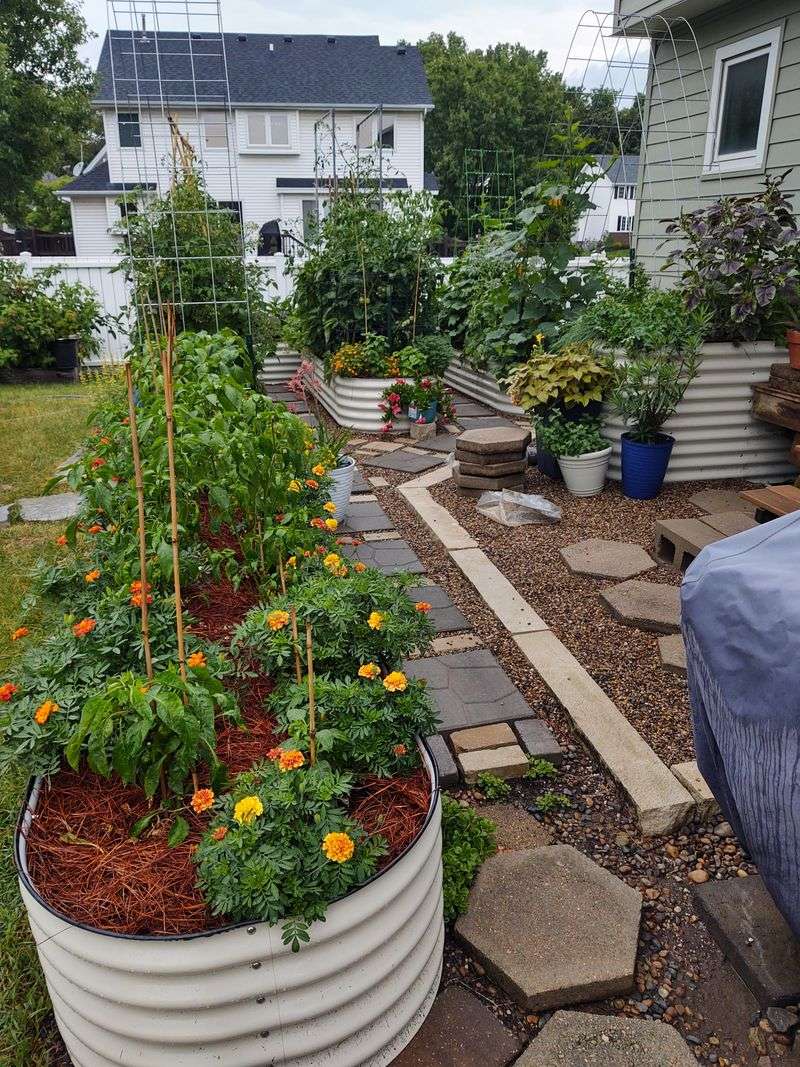 Planting Raised Beds Without A Root Barrier Planting Raised Beds Without A Root Barrier
