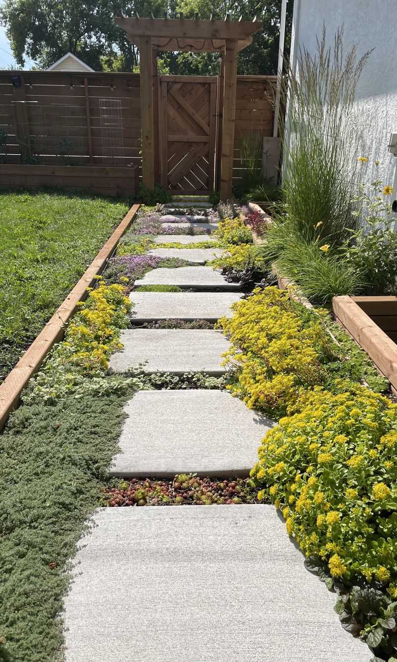 Planting Shrubs And Ground Cover Too Close Together