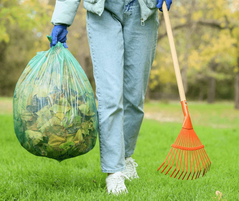 Play Areas Should Stay Leaf-Free