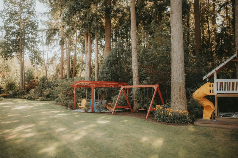 Play Equipment Or Patios Near Yard Edges And Trees