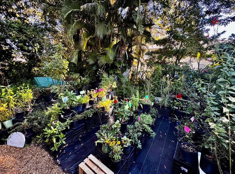 Pocket Pollinator Beds Add Life Without Crowding