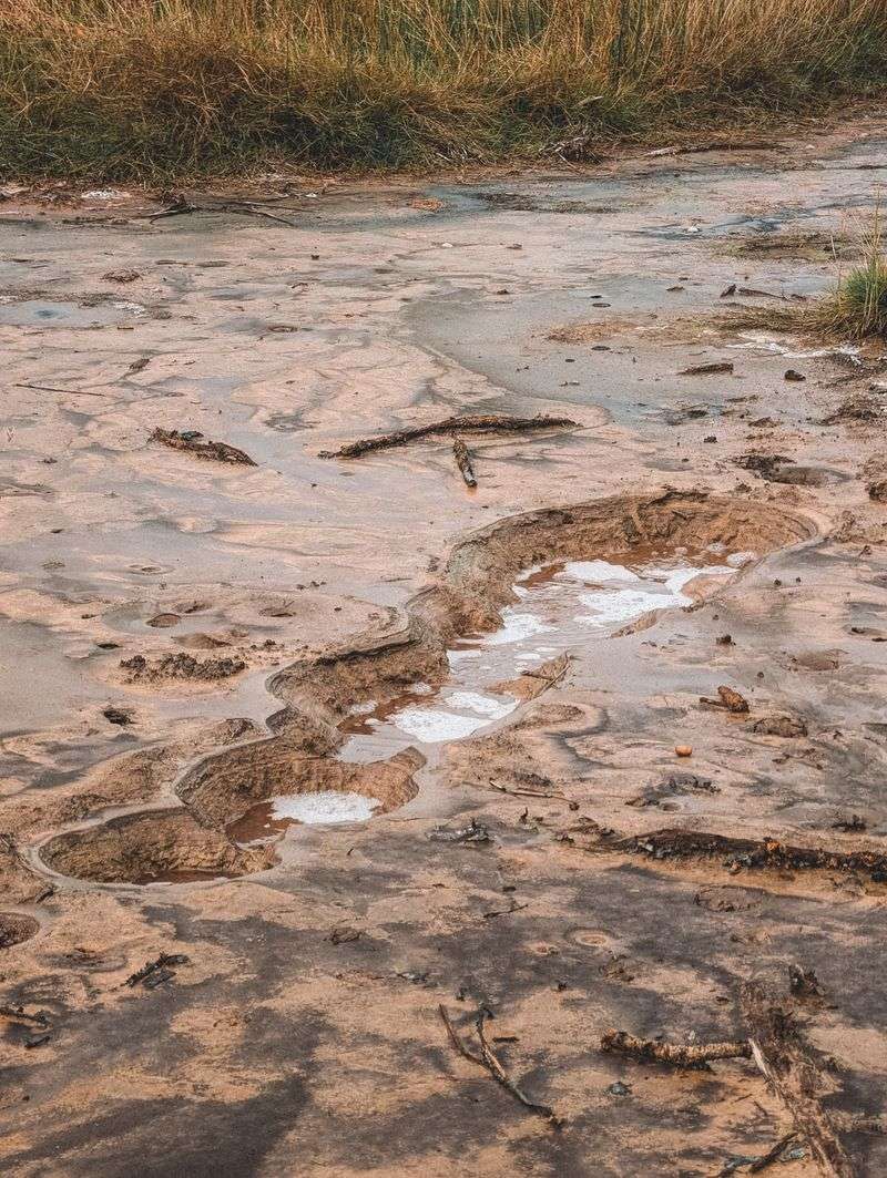 Poor Drainage Keeps Soil Wet, Triggering Repeated Surfacing