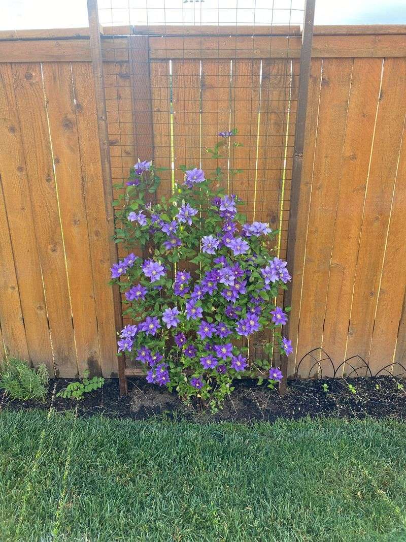 Poor Soil Quality