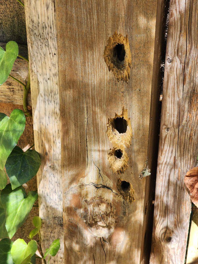 Porch Railings And Eaves Are Common Targets Porch Railings And Eaves Are Common Targets