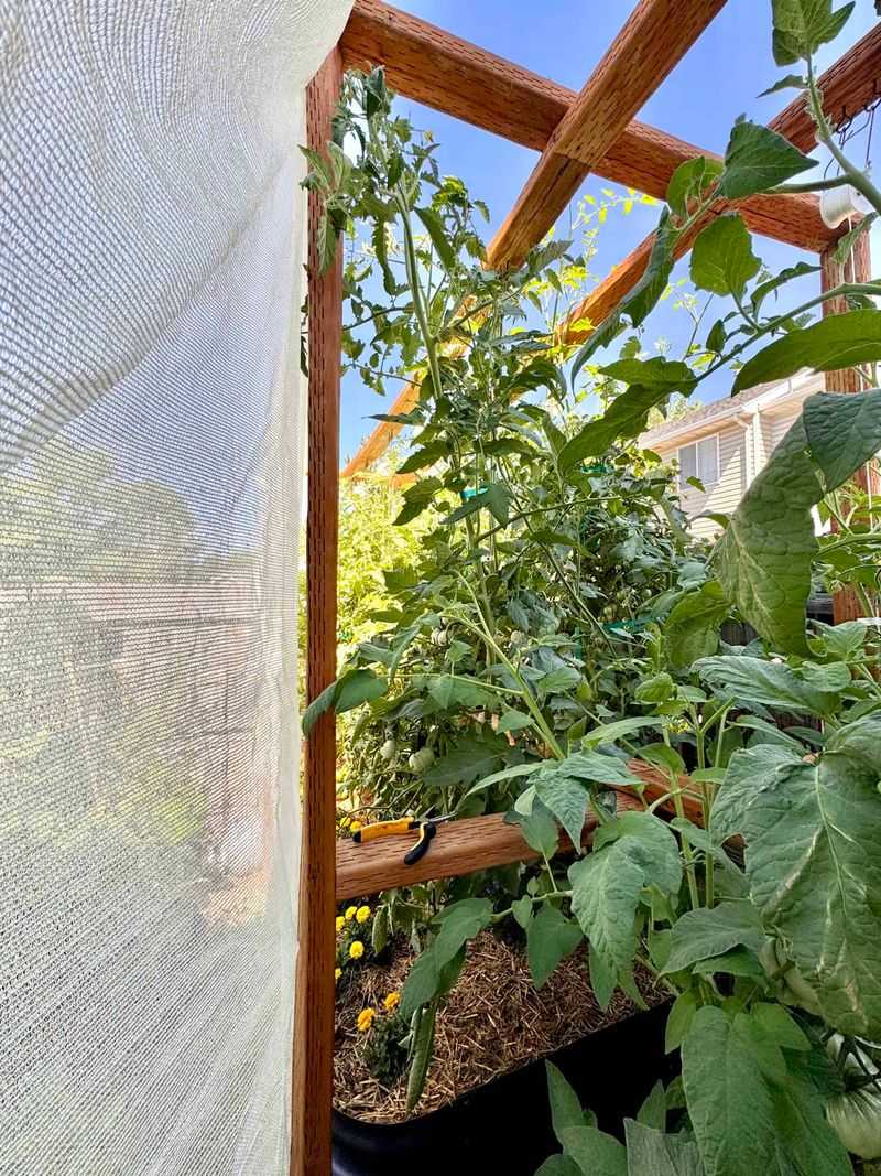 Position Shade Cloth Above Plants For Better Airflow