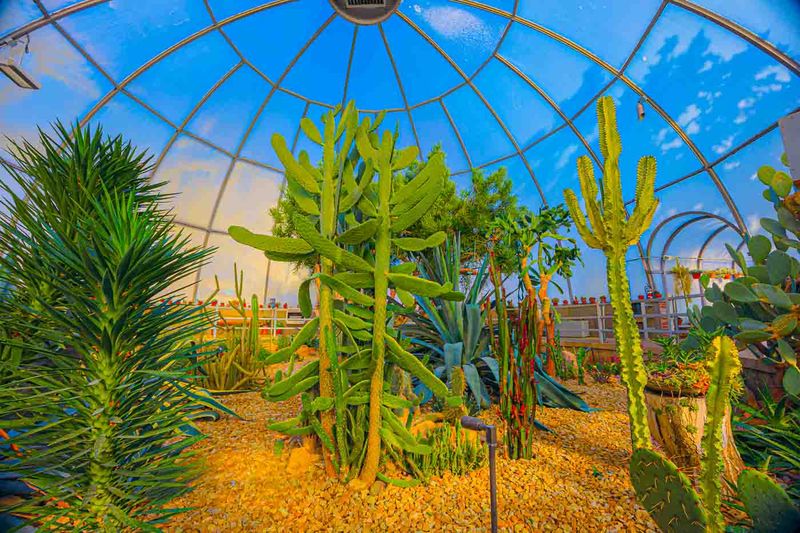 Potawatomi Conservatories, South Bend Potawatomi Conservatories, South Bend