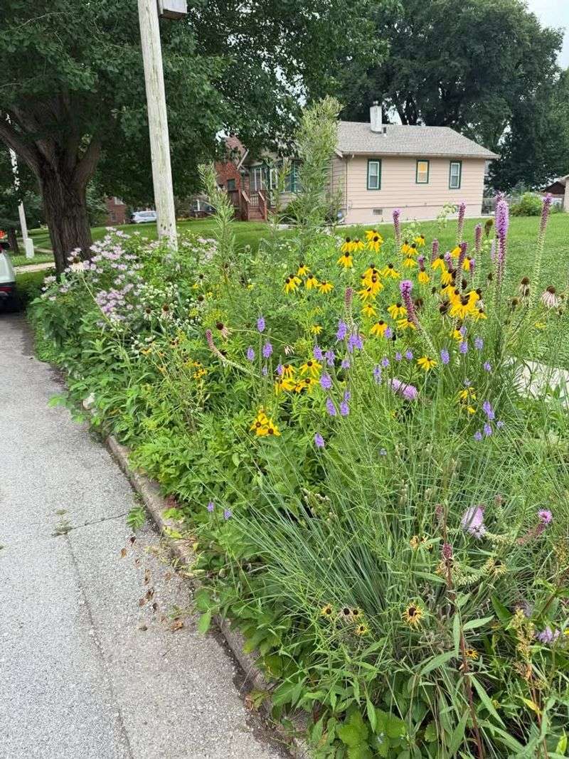 Prairie Pocket Gardens Thrive With Deep-Rooted Sun Lovers Prairie Pocket Gardens Thrive With Deep-Rooted Sun Lovers