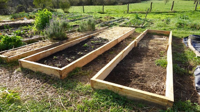 Preparing Fall Beds Before August Pressure Builds Preparing Fall Beds Before August Pressure Builds