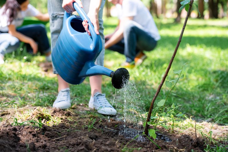Prevention Usually Starts With Better Tree Care Prevention Usually Starts With Better Tree Care