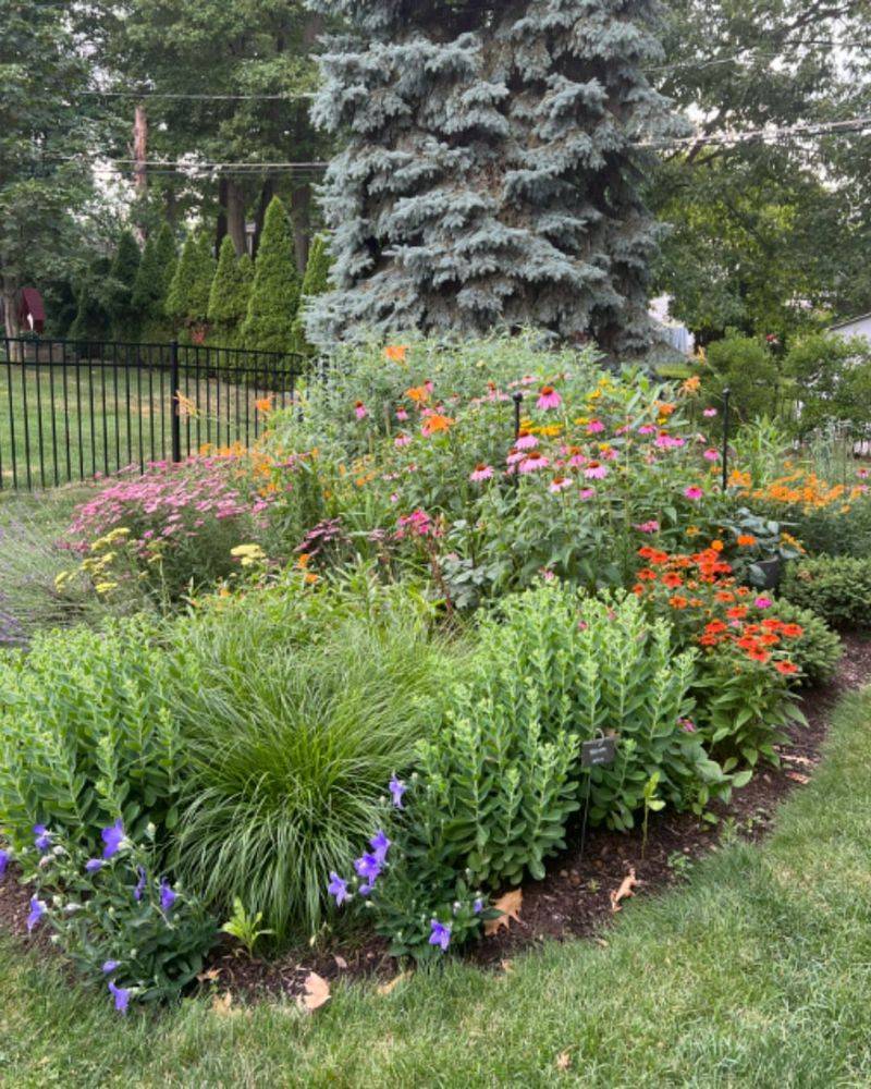 Promote A Balanced Backyard Ecosystem Promote A Balanced Backyard Ecosystem