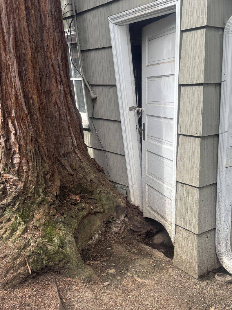 Proof Matters Before Anyone Pays For Repairs Proof Matters Before Anyone Pays For Repairs