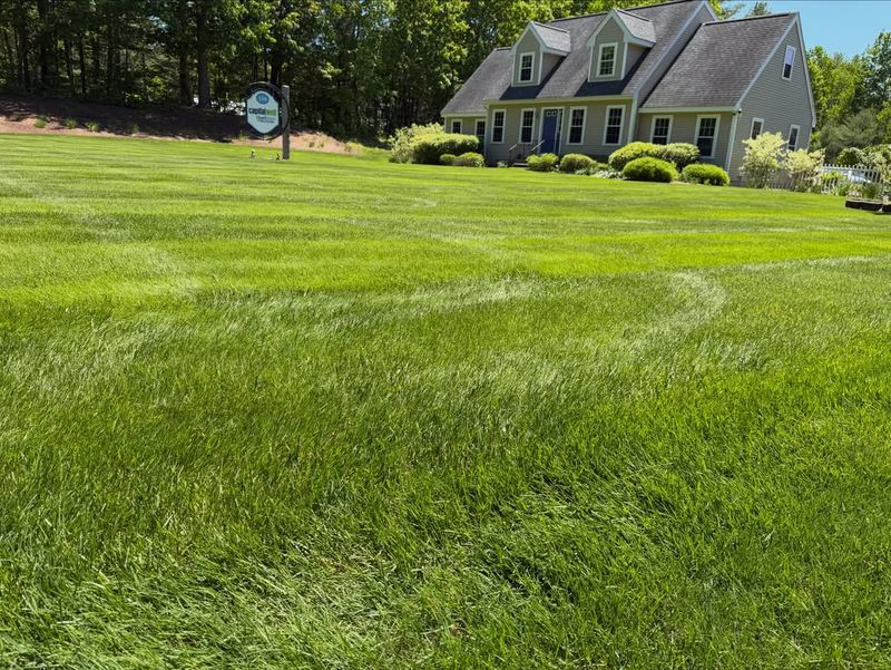 Proper Timing Matters As Much As The Fertilizer Itself Proper Timing Matters As Much As The Fertilizer Itself